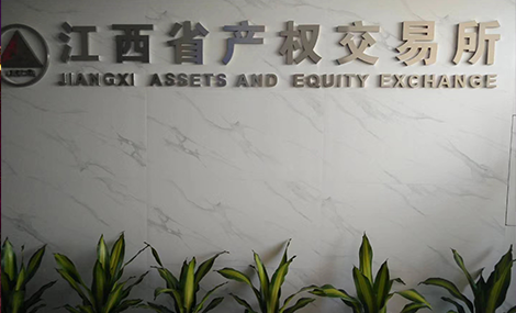 江西省产权交易所案例1.png
